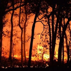 2025in aci orman yangini bilancosu 90 bin futbol sahasi buyuklugunde alan kul oldu bp4DUrT8