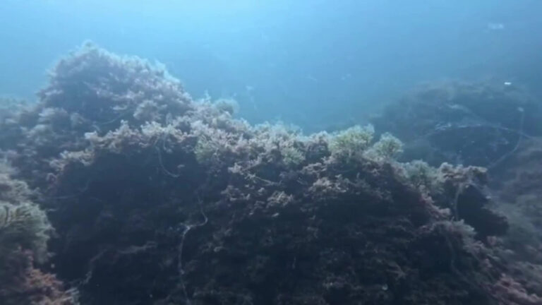 kabus geri dondu uzman isim uyardi acilen harekete gecilmeli LKWJHSmO