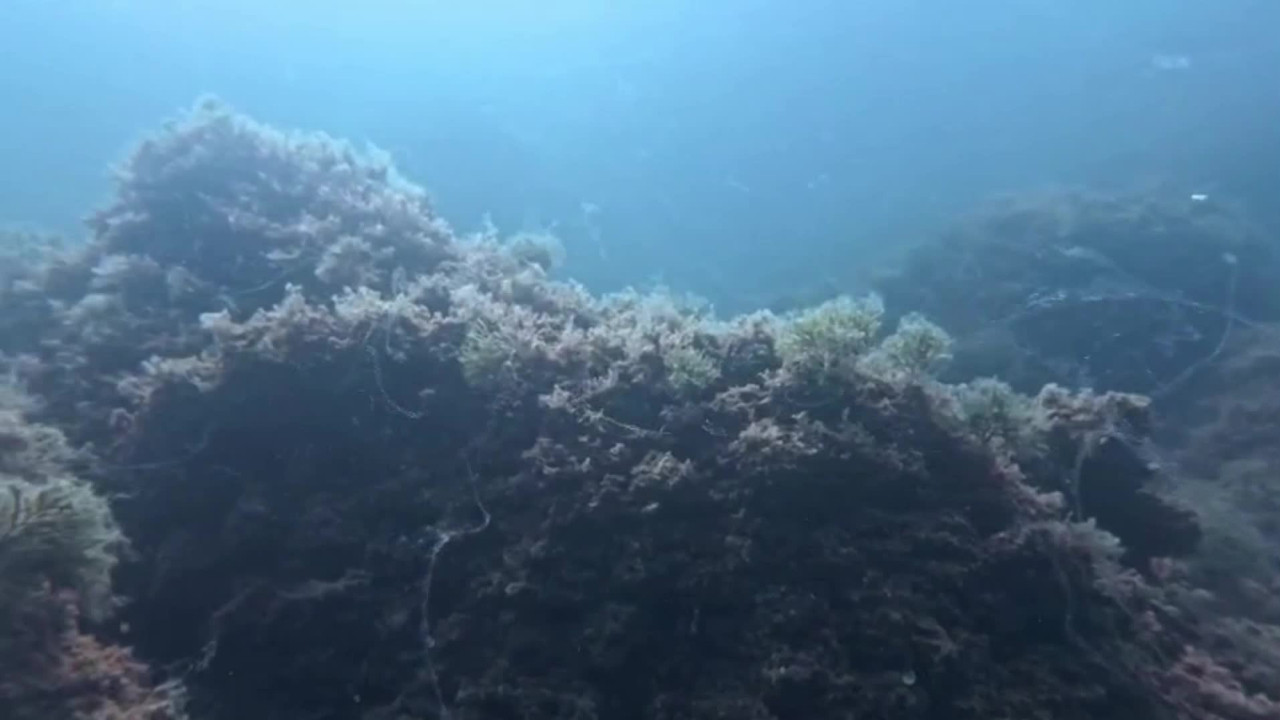 kabus geri dondu uzman isim uyardi acilen harekete gecilmeli LKWJHSmO