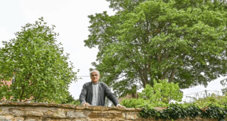 tum bu agac icin koy seferber oldu cok degerli 8tE14NMS