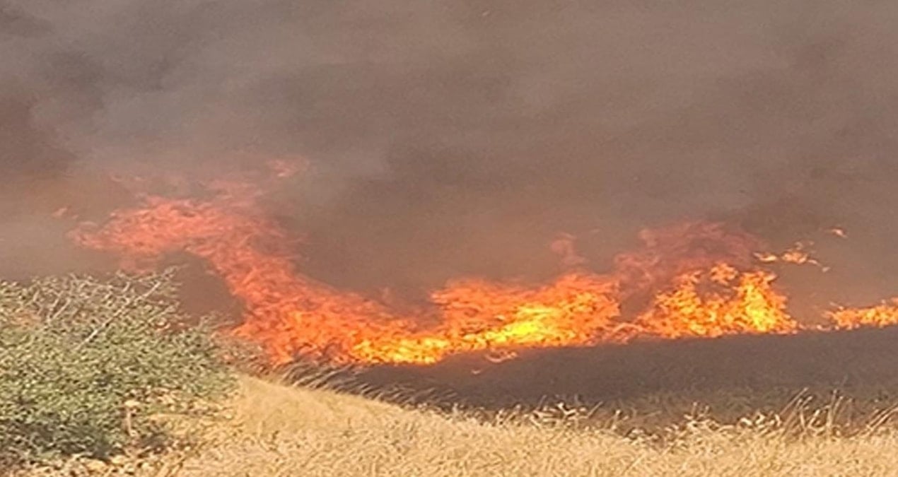 izmirde anizda cikip agaclik alana sicrayan yangin sonduruldu QEXahGtC