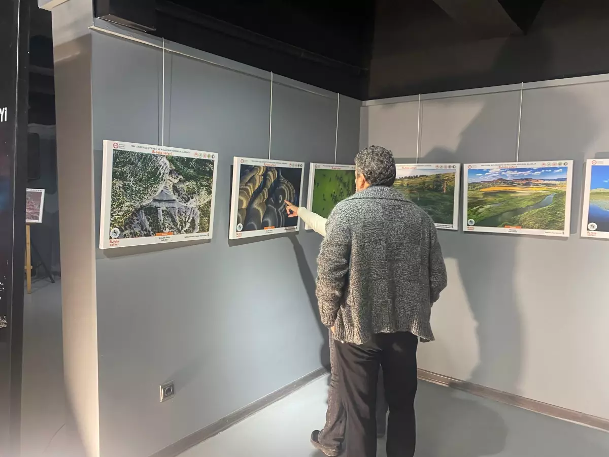 nallihan kus cennetinde foto safari sergisi acildi VgEmwgDB
