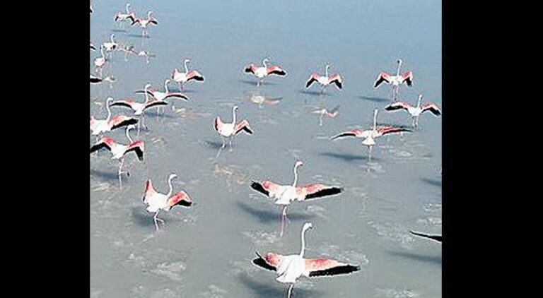 tuz golu icin alarm appdXlyA.jpg