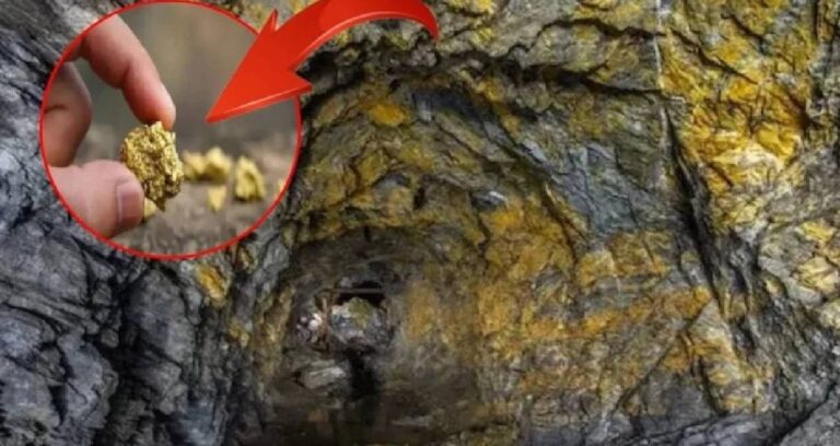 dunyanin en derin 10 altin madeni yerin altina iniyorlar kulce kulce altin cikariyorlar uv4OthjQ.jpg