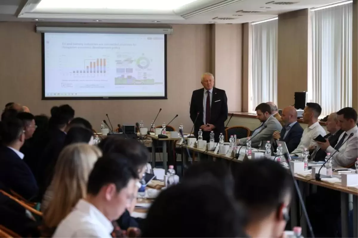 macaristan ile cin batarya geri donusumunde isbirligi yapiyor ehBUzrtv.jpg