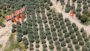 osmaniyede-kacak-kaziya-dronla-sucustu-6-kisi-gozaltina-aldi-6bSafgiW