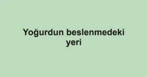 yogurdun-beslenmedeki-yeri